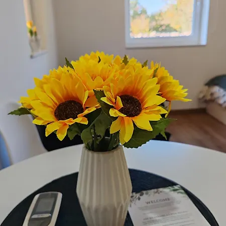 Апартаменты Simun&jakov