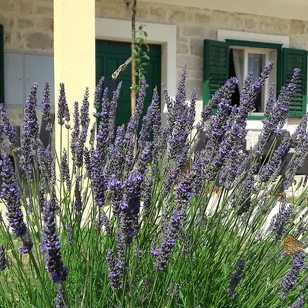 Apartmán Simun&jakov Drinovci