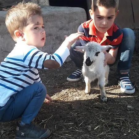 Apartmán Simun&jakov