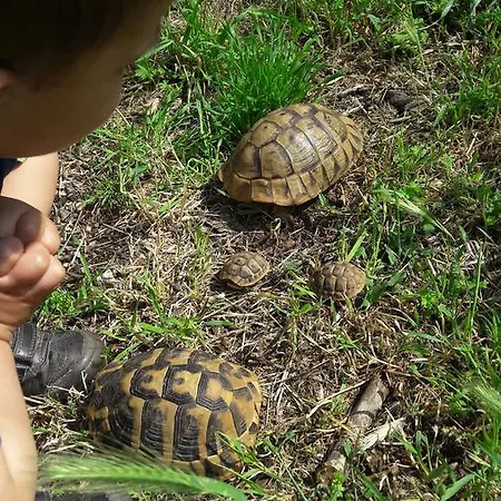 Simun&jakov *