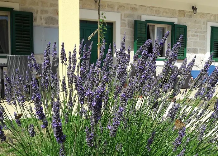 Apartment Simun&jakov Drinovci