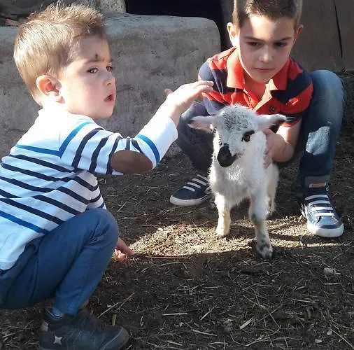 דירה Simun&jakov