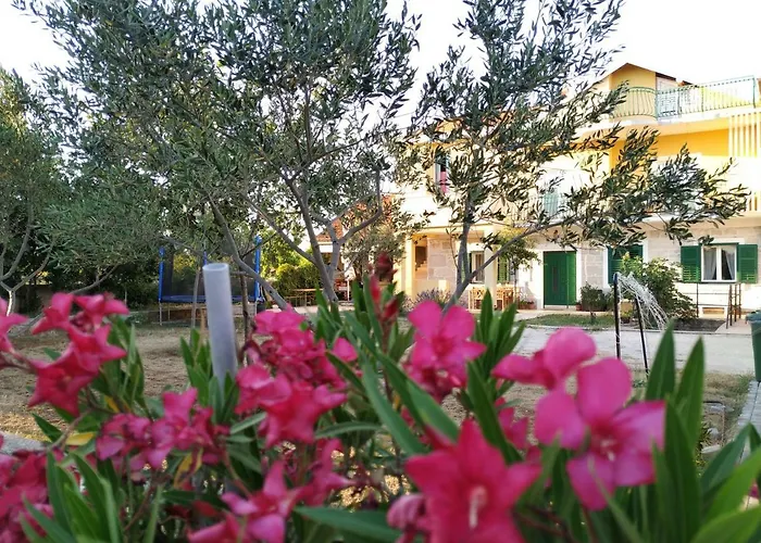 Simun&jakov Drinovci